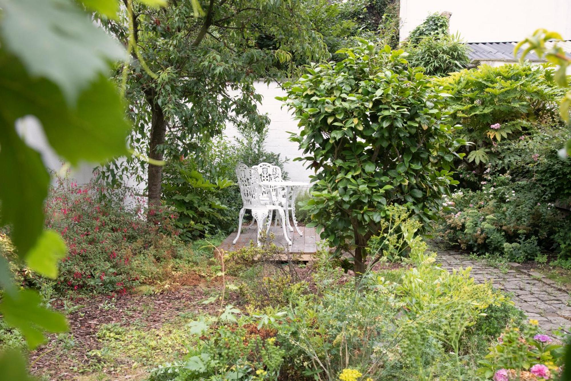 Frühstückspension The Greenhouse 2*